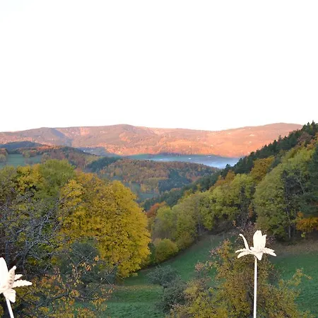 Les Fermes De Pinpin Сasa de vacaciones Labaroche