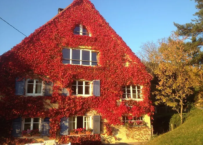 Les Fermes De Pinpin * Labaroche